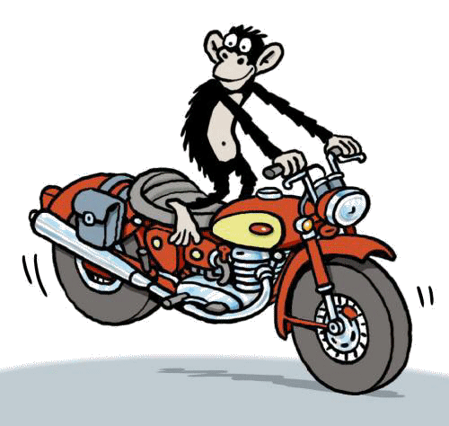Motorbiking