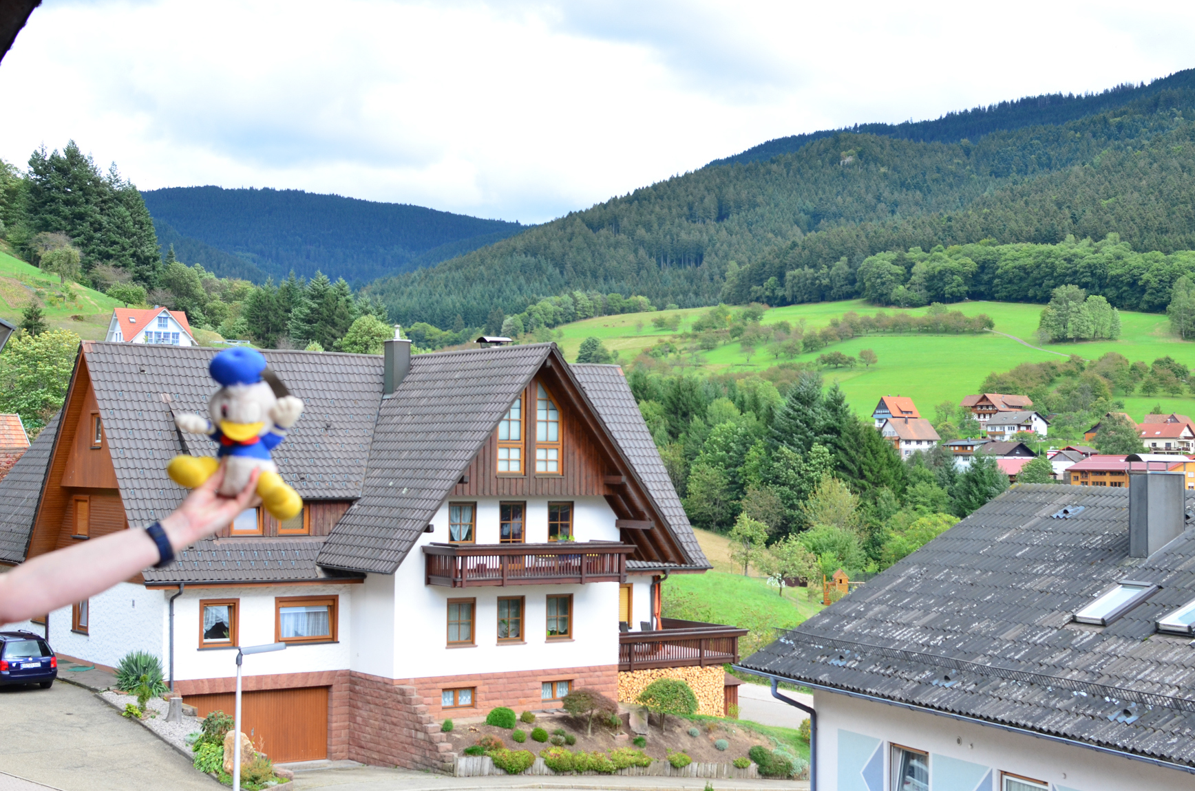 In the Black Forest