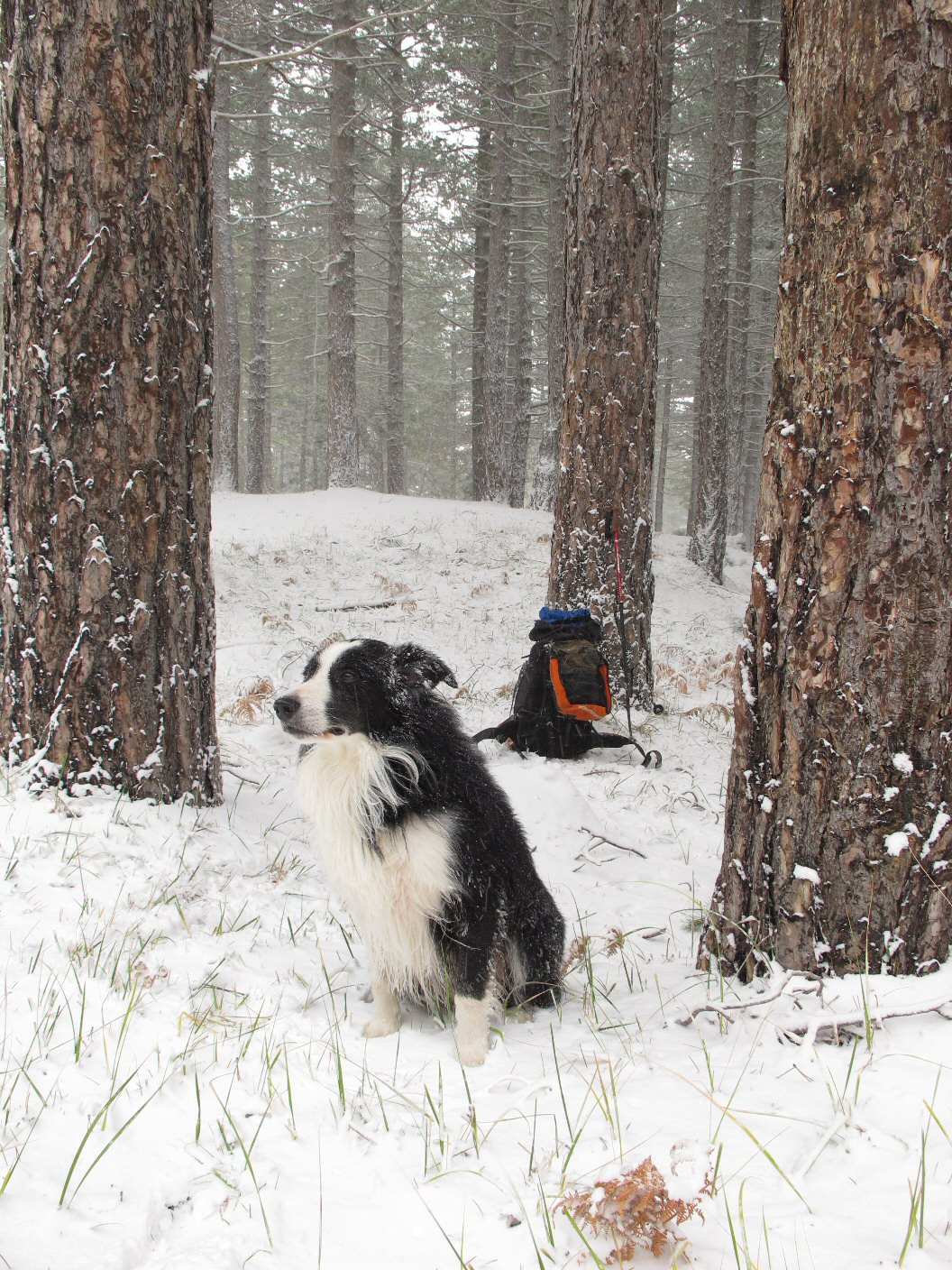 Josh in the snow
