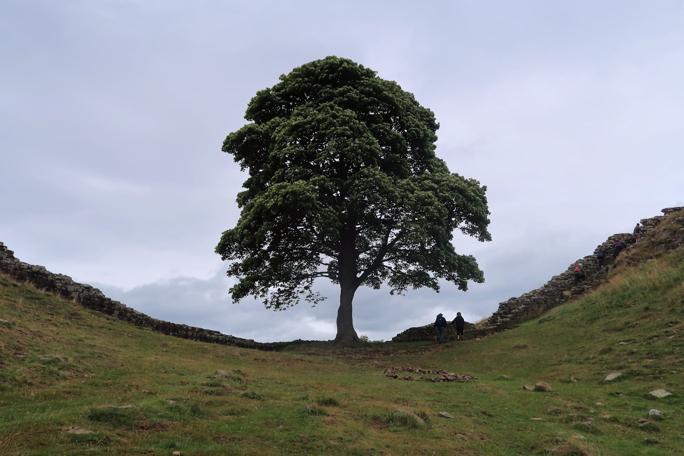 Sycamore Gap