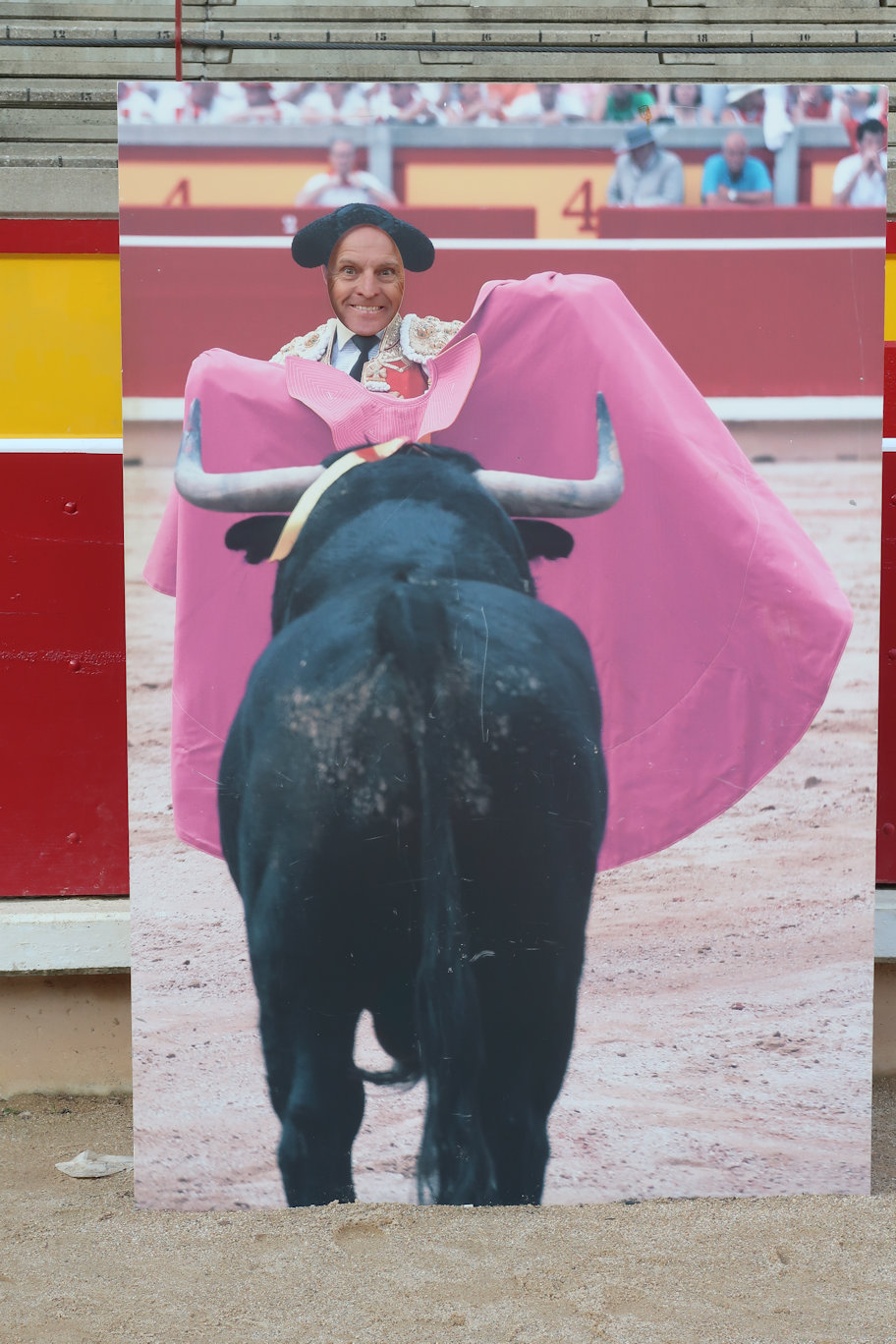 Bull Fighting